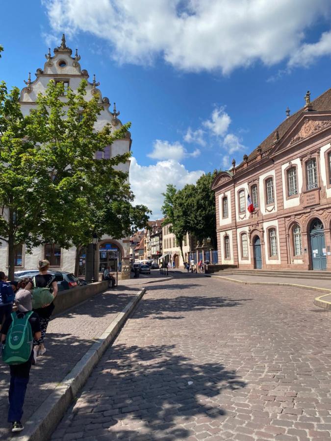 Ferienwohnung Hello Colmar Luxury Petite Venise 7 Pers Parking Velos Exterior foto